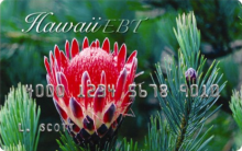 Hawaii Snap EBT card
