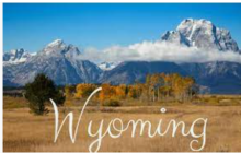 Wyoming Snap EBT card